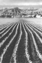 Clicca qui per ingrandire la foto