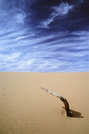 Deserto algerino