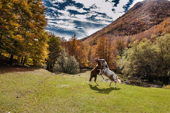 Parco Nazionale d'Abruzzo