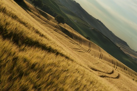 Val d'Orcia