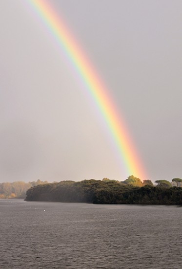 Pioggia e colori