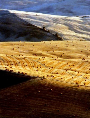 Val d'Orcia (Siena)