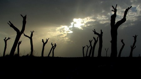 aspettando Godot