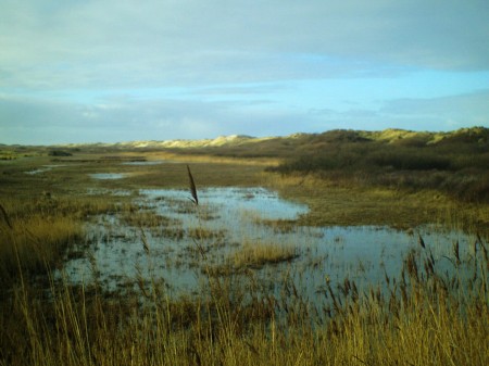 Terschelling-Olanda