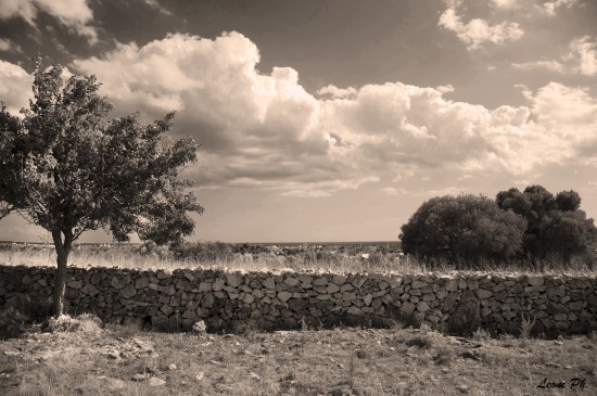 Il Deserto del Sud