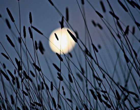 il tramonto della luna