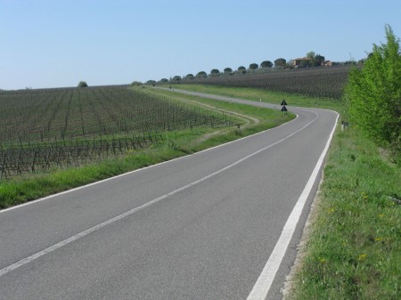 verso Montalcino