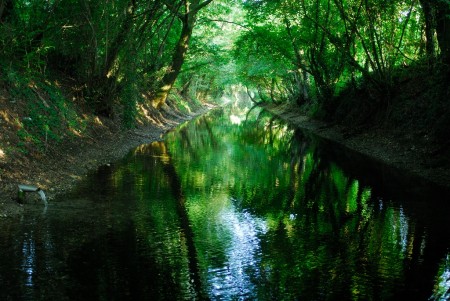 la fontana nascosta 