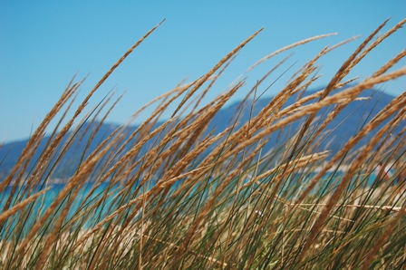 azzurro corsica