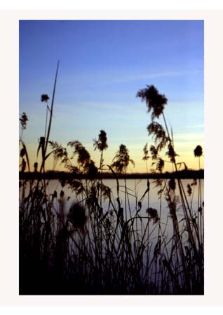 lago corgeno