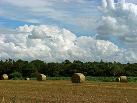 Campagna