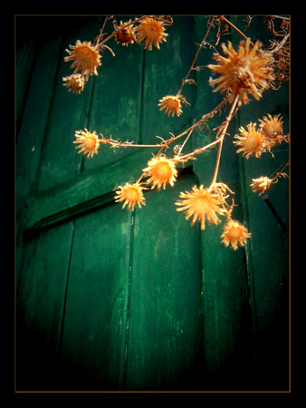 Little Suns