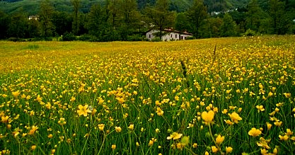 Primavera in collina