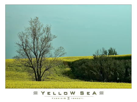 Yellow Sea