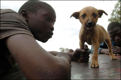 Kibera bambini di strada