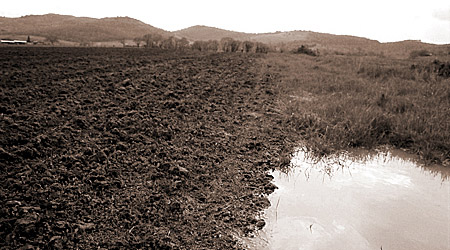 Ho voglia di raccontare