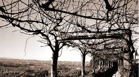 Ho voglia di raccontare