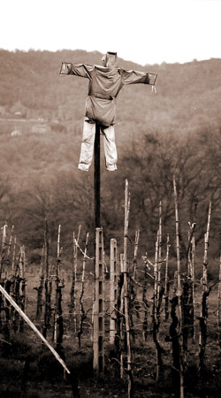 Ho voglia di raccontare