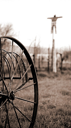 Ho voglia di raccontare