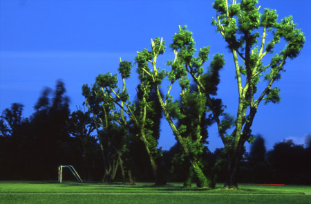 Il Parco delle lune elettriche