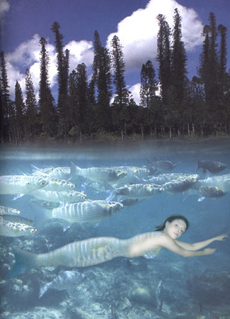 Follow the Shoal - fotomontaggio - '01